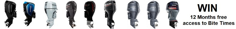 150hp Outboards